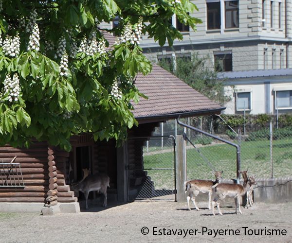 Der Hirschpark